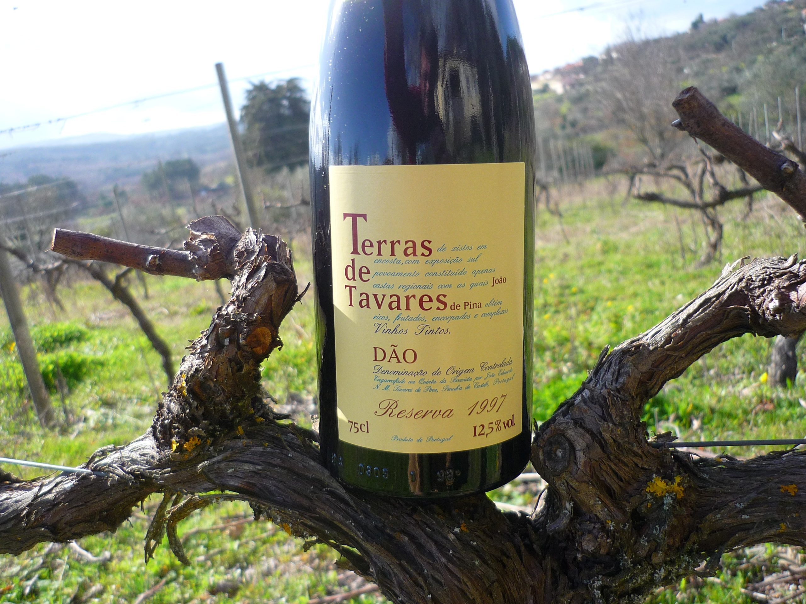 grelos com morcela 003 - Cópia